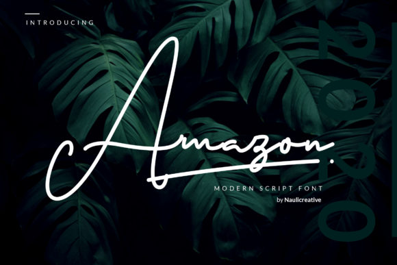 Amazon Font for Business Branding and Design
