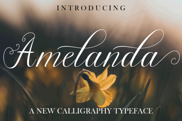 Amelanda: A Handwritten Font for Modern Web Design