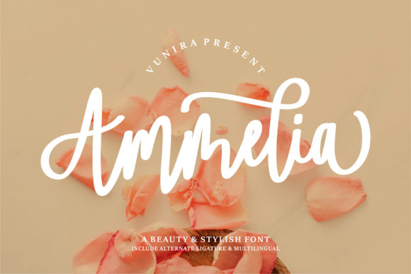 Ammelia Font Review for Campaign Designers