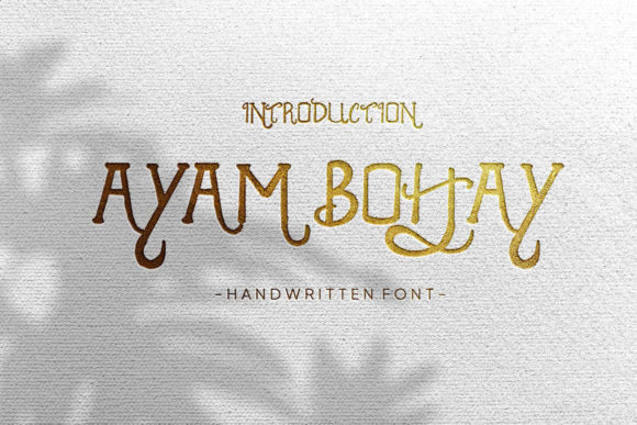 Ayam Bohay: A Handwritten Font That Feels Timeless and Modern