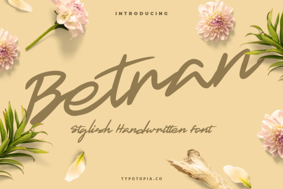 Betran: A Handwritten Script Font for Digital Creativity