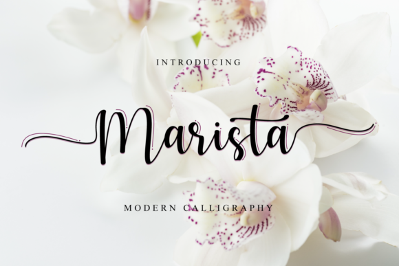 Marista: A Flowing Script Font for Handmade Creations