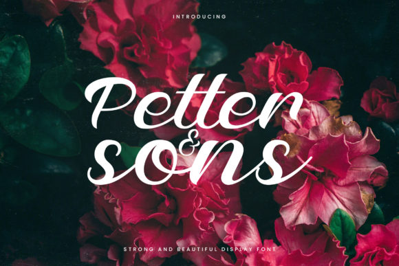 Petter and Sons Font Review for Branding Projects
