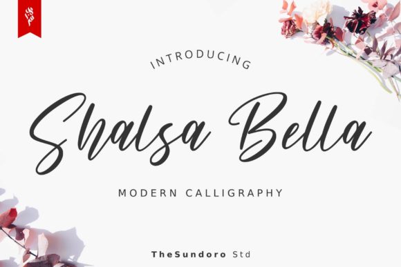 Shalsa Bella Font for Campaign Design