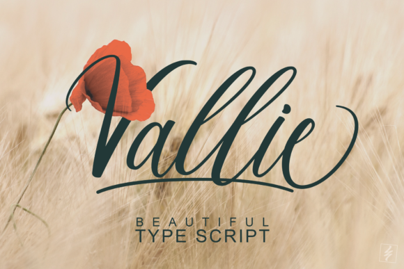 Valiie: A Handwritten Font for Elegant Web Design